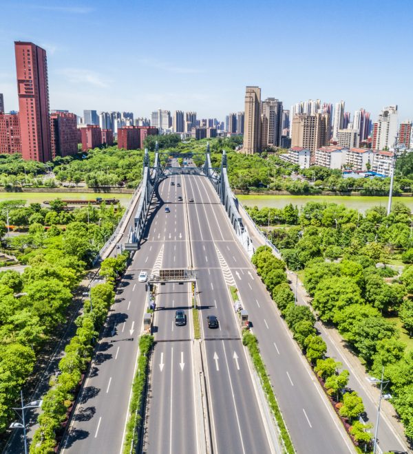 The bridge with city